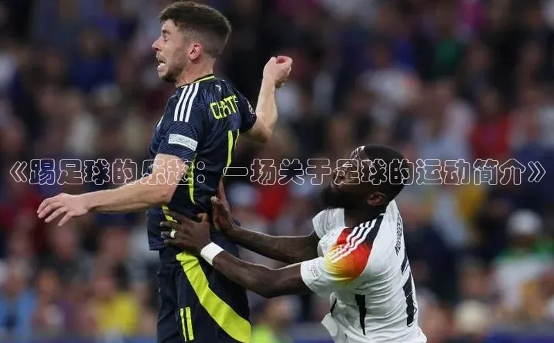 YY易游app百度人工翻译《踢足球的乐趣：一场关于足球的运动简介》