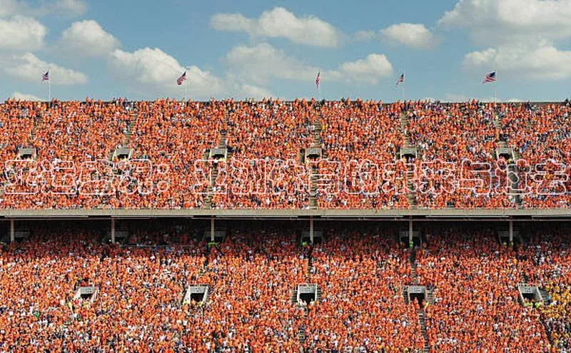 YY易游平台引力传媒亚运盛况：亚洲体育的未来与过去