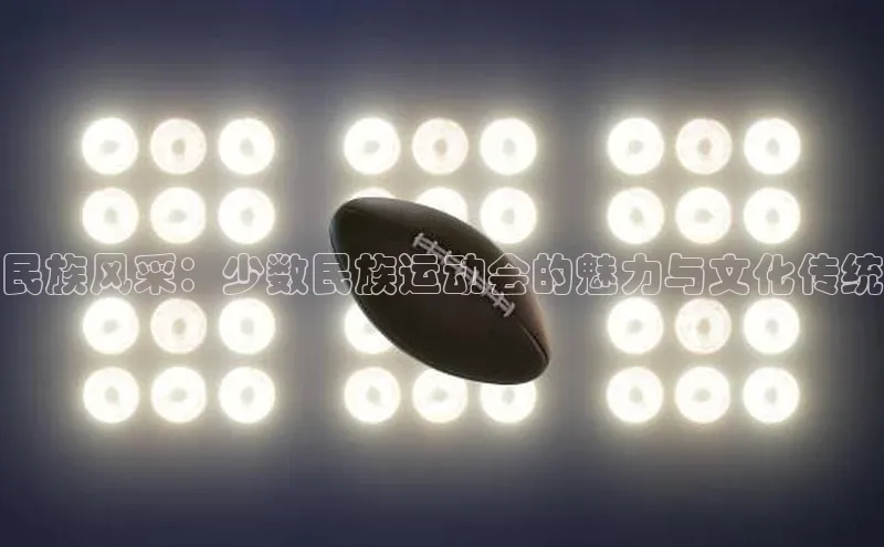 民族风采：少数民族运动会的魅力与文化传统