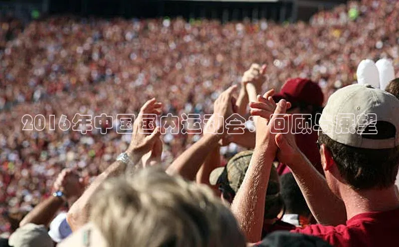 2016年中国国内运动会：回顾与展望