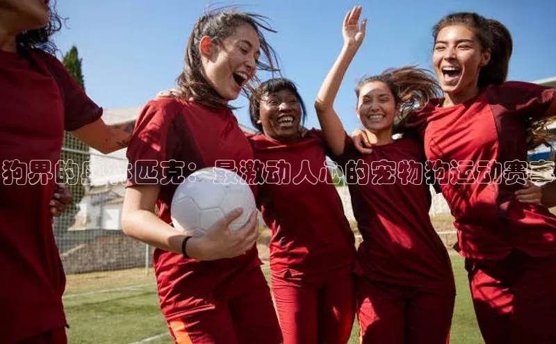 狗界的奥林匹克：最激动人心的宠物狗运动赛事