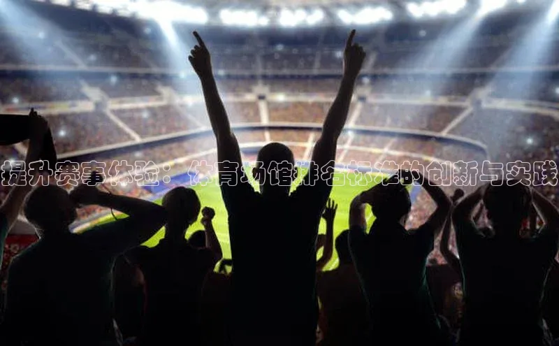 提升赛事体验：体育场馆排名标准的创新与实践