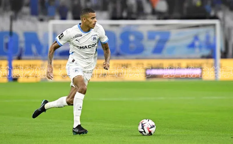 动感之城：本市热门运动赛事一览与你我共享