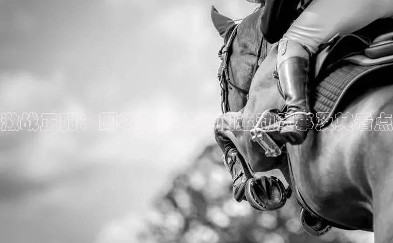 激战正酣：即将到来的热门运动赛事及其看点