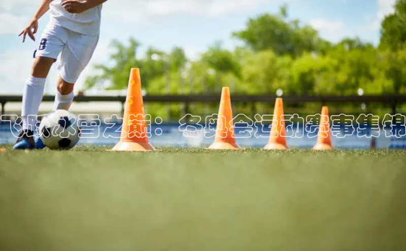 飞跃冰雪之巅：冬奥会运动赛事集锦