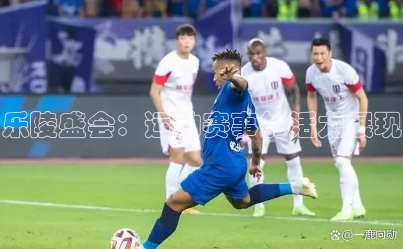 乐陵盛会：运动赛事的活力展现