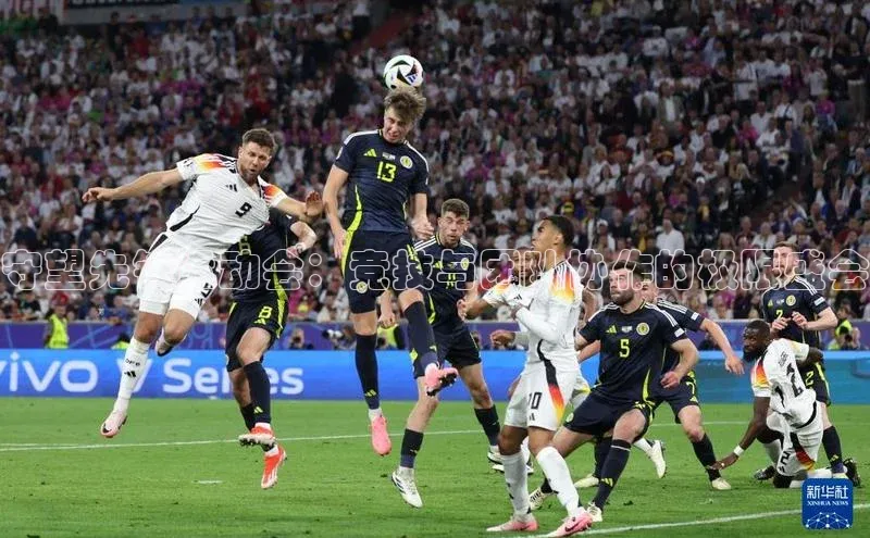 守望先锋运动会：竞技与团队协作的极限盛会