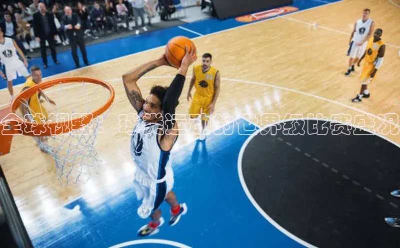 全球视野：球类运动的世界级比赛盛况