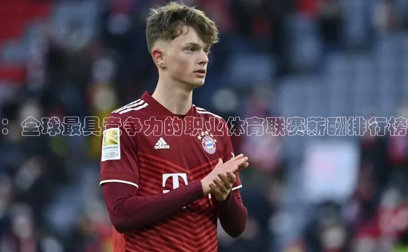：全球最具竞争力的职业体育联赛薪酬排行榜