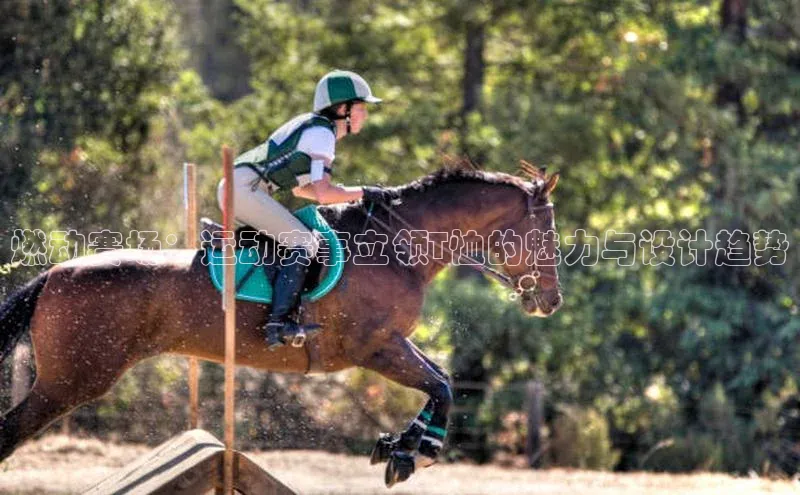 米乐m6官网老版