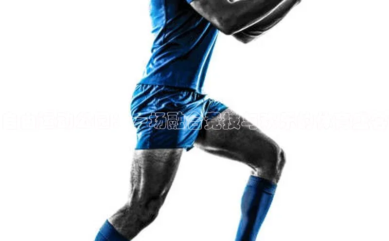 米乐yy易游下载官网